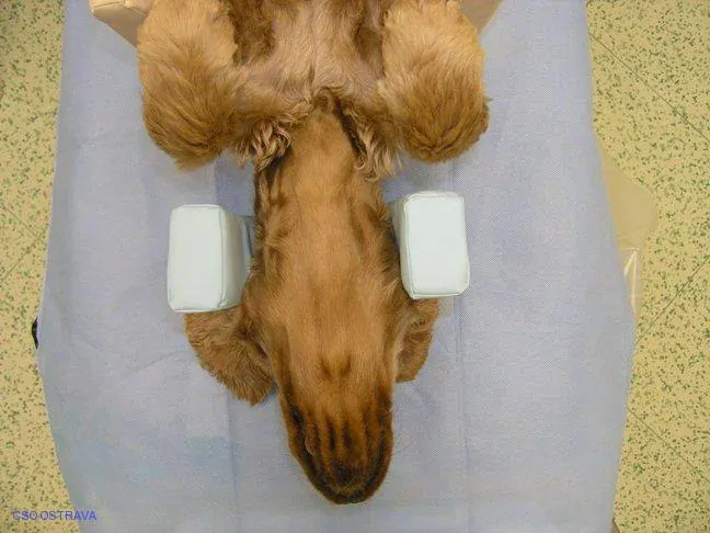 Pomůcka CSO veterinární polohovací - Podkova střední; 10.3.5