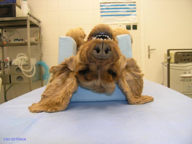 Pomůcka CSO veterinární polohovací - Podkova malá; 10.3.4