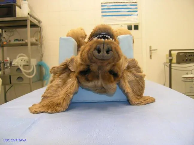 Pomůcka CSO veterinární polohovací - Podkova velká; 10.3.6