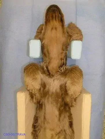 Pomůcka CSO veterinární polohovací - Korýtko velké; 10.3.3